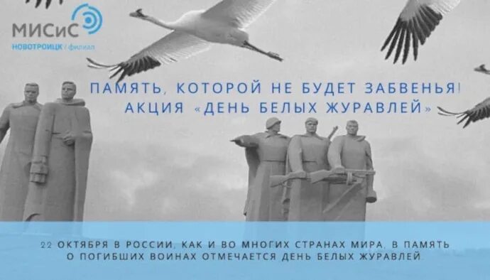 День белых журавлей 22 октября. Акция белые Журавли 22 октября. Акция белые Журавли памяти. Акция есть память которой не будет забвенья. Акция журавли 22.03 2024