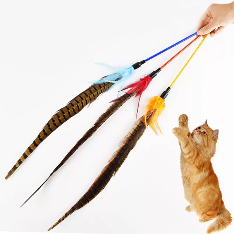 Игрушки для кошек с перьями. Игрушка-дразнилка для кошек. Игрушка для кота с перьями. Палочка с перьями для кота. Игрушка для кота на палочке.