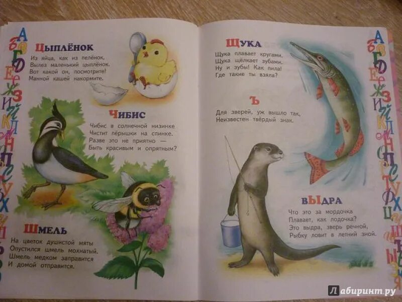 Азбука животных 1 класс. Азбука животных. азбука зверей для 1 класса. азбука животных 1 класс проект. азбука про животных в стихах для детей.