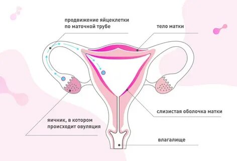 Сильно пошли месячные