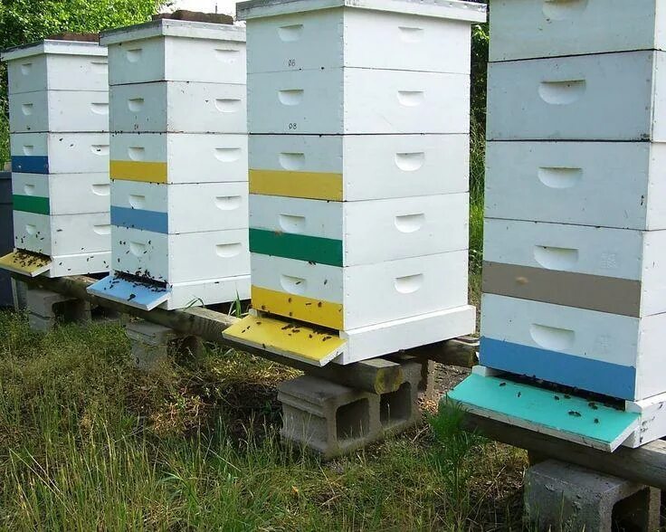 Как должен выглядеть красный улей Stolarmast, items for beekeepers, Кореновск, Промышленная улица, 5 Yandex Maps
