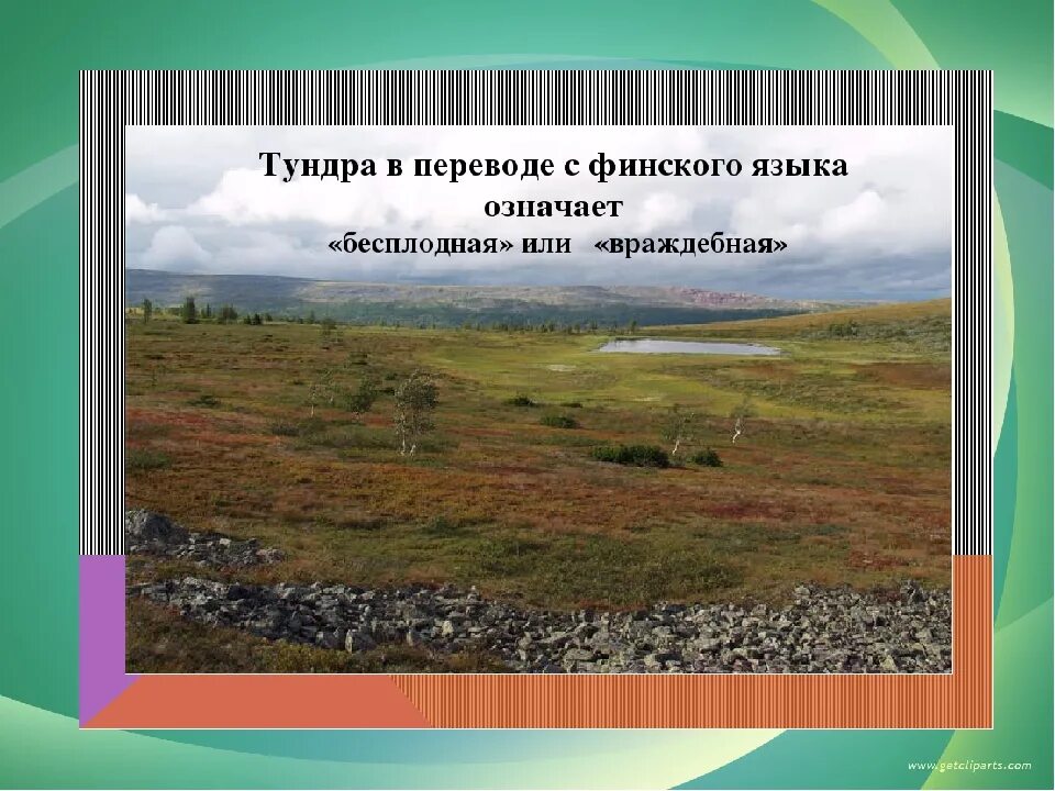 Тундра между природными зонами. Тундра природная зона 4 класс. Ранимая тундра. Зона тундры 4 класс. Путешествие по природным зонам России.