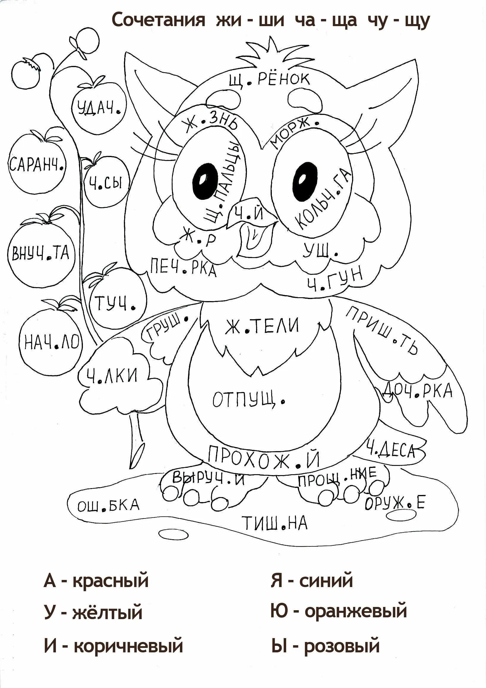 Слово сова безударная гласная. Раскраски по русскому языку. Раскраска русский язык. Раскраска по рсском язык. Раскраска по русскомуязхыку.