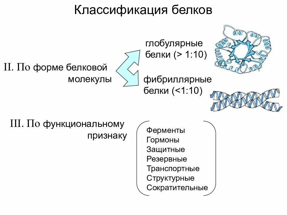 Третичная структура фибриллярного белка. Пептиды и белки презентация. Структура и свойства белка альбумина. Классификация белков по строению. Белки форма глобулы.