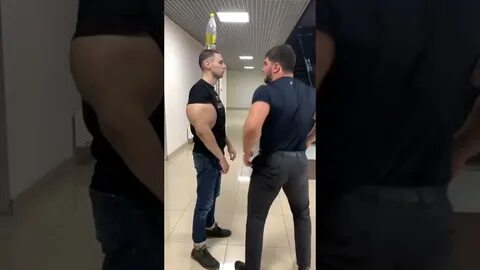 Тамаев извинился
