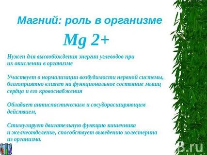 Магний в6 зачем нужен