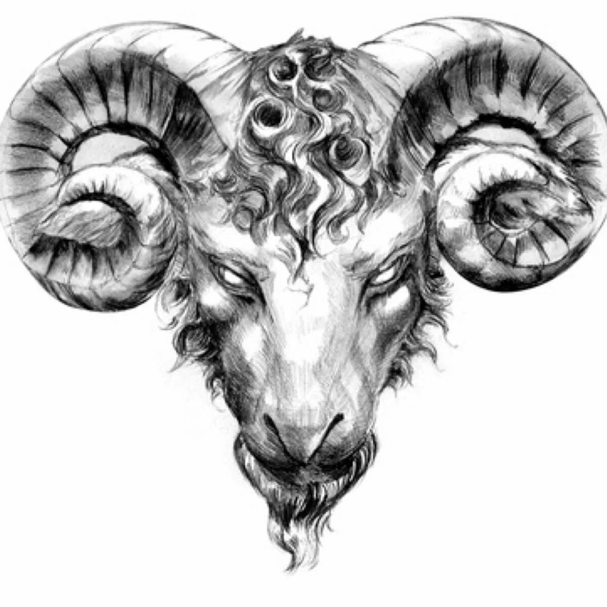 Овен. Овен бел. Овен черно белый. Сувенир знак зодиака фарфор. Белая футболка со знаками зодиака.