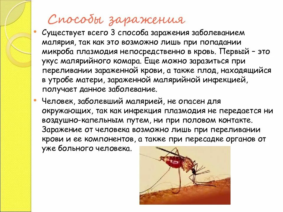 Заражение человека малярией происходит. Укусы комаров малярийный комар. Малярийный комар профилактика. Комар малярийный механизм заражения. Механизм заражения малярией.