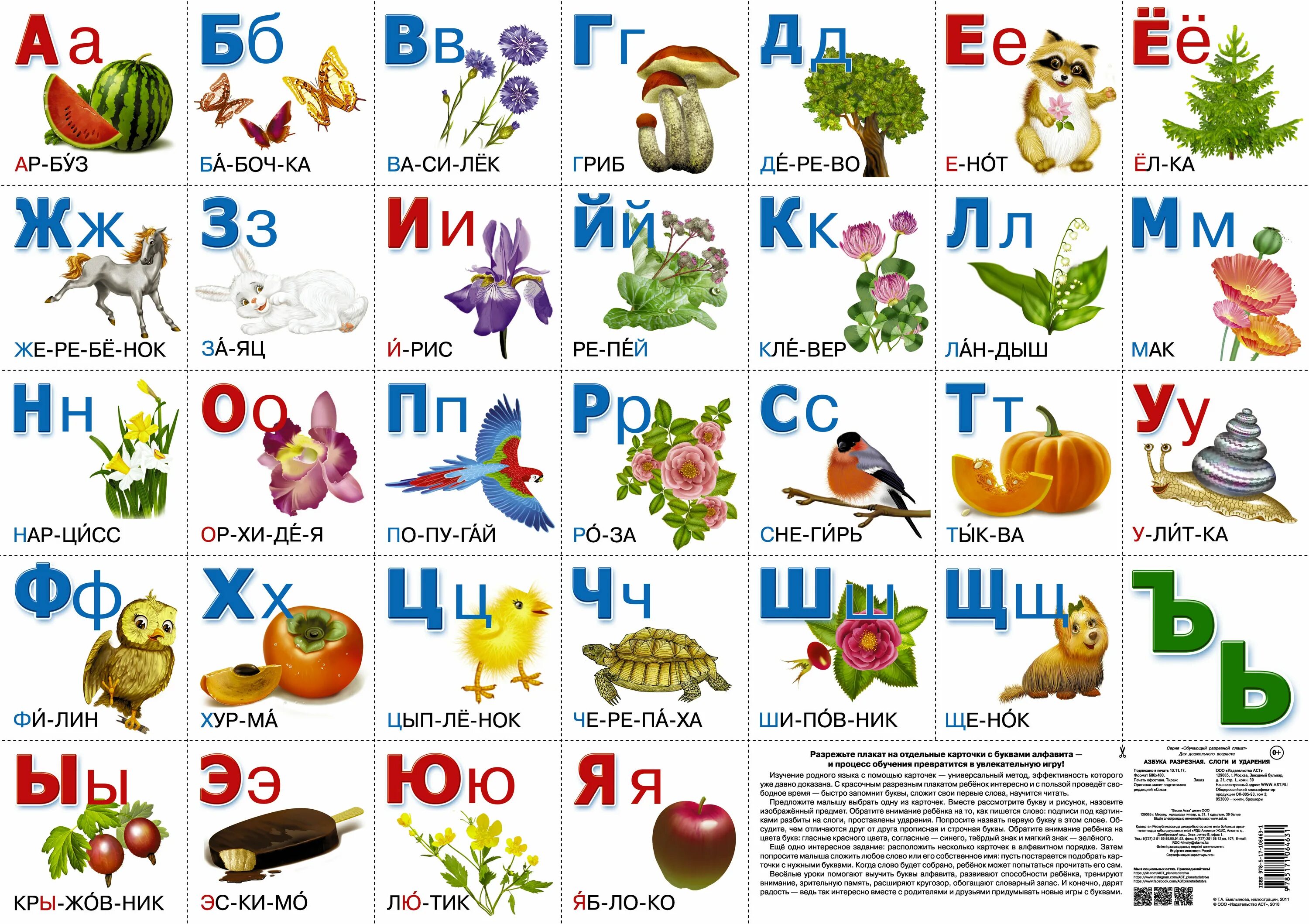 Плакат "Азбука" разрезной, а2. Разрезная Азбука для детей. Разрезная Азбука для дошкольников. Азбука разрезная с картинками.