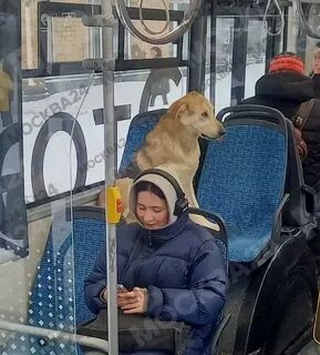 Обычный пассажир