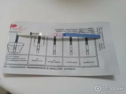 Тест на беременность какая полоска показывает беременность