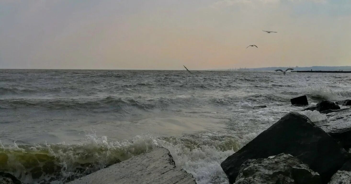 Мариуполь берег азовского моря. Мариуполь берег азовского моря. Азовское море мариуполь. Мариуполь мелекино море. Азовское море мариуполь пляж.