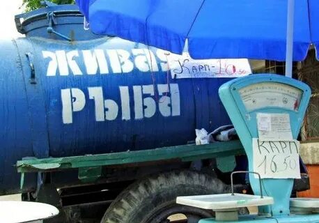 Живая бочка