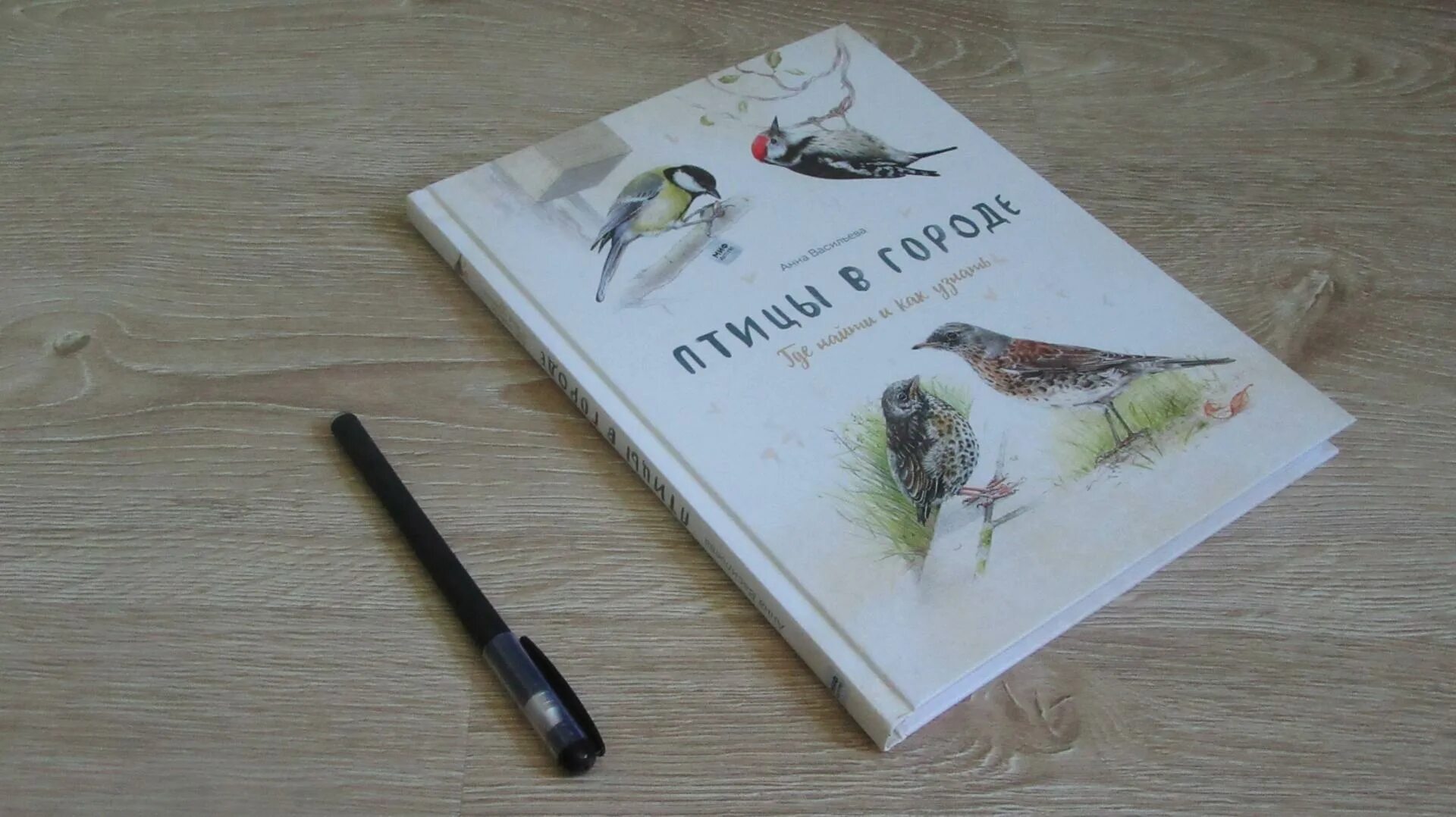 Читать книгу птичка