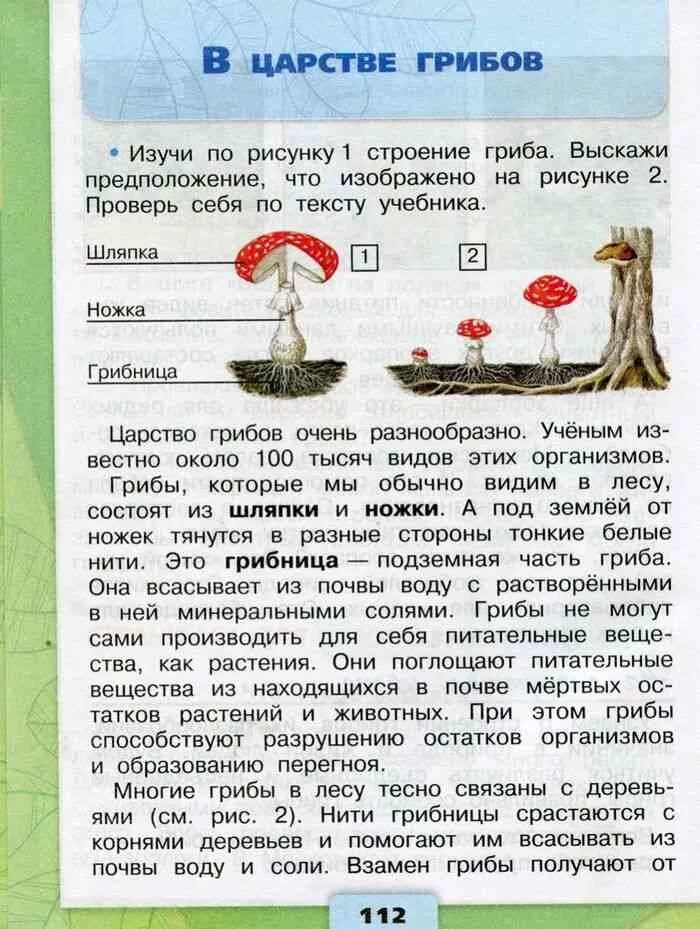 Плешаков грибы. В царстве грибов 3 класс окружающий мир плешаков учебник. грибы 3 класс окружающий мир в учебнике плешаков. 3 класс окружающий мир 1 часть учебник плешаков в царстве грибов. окружающий мир 3 класс учебник царство грибов.