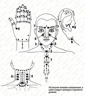 Точечный массаж сканворд 5