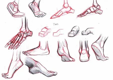 Foot формы