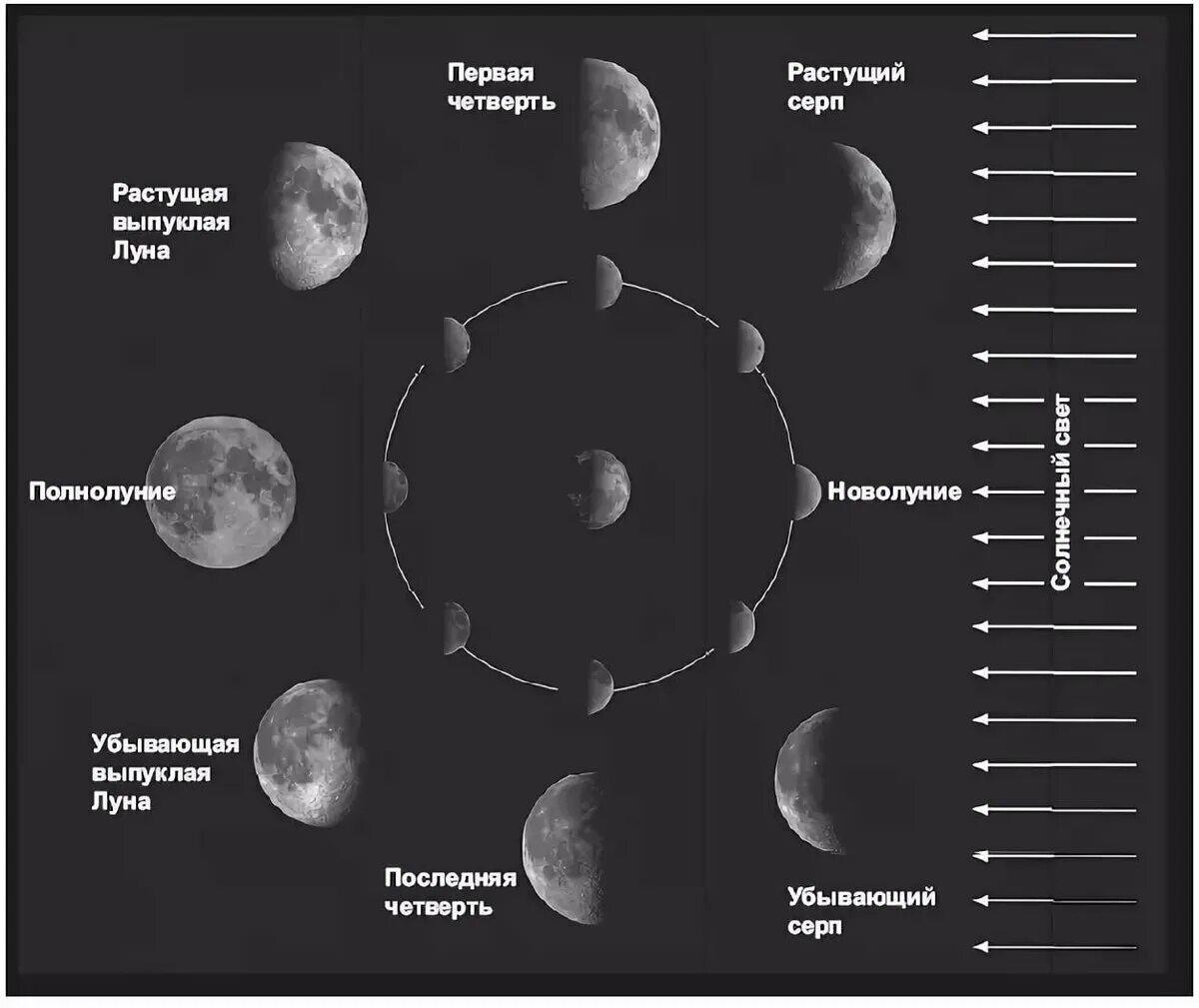Сколько надо луны. Фазы Луны. Фазы Луны с названиями. Фазы Луны схема. Смена лунных фаз и их названия.