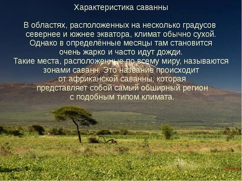 Степи африки климат. Характеристика саванны. саванна природная зона характеристика. саванны презентация. саванна климатические зоны.