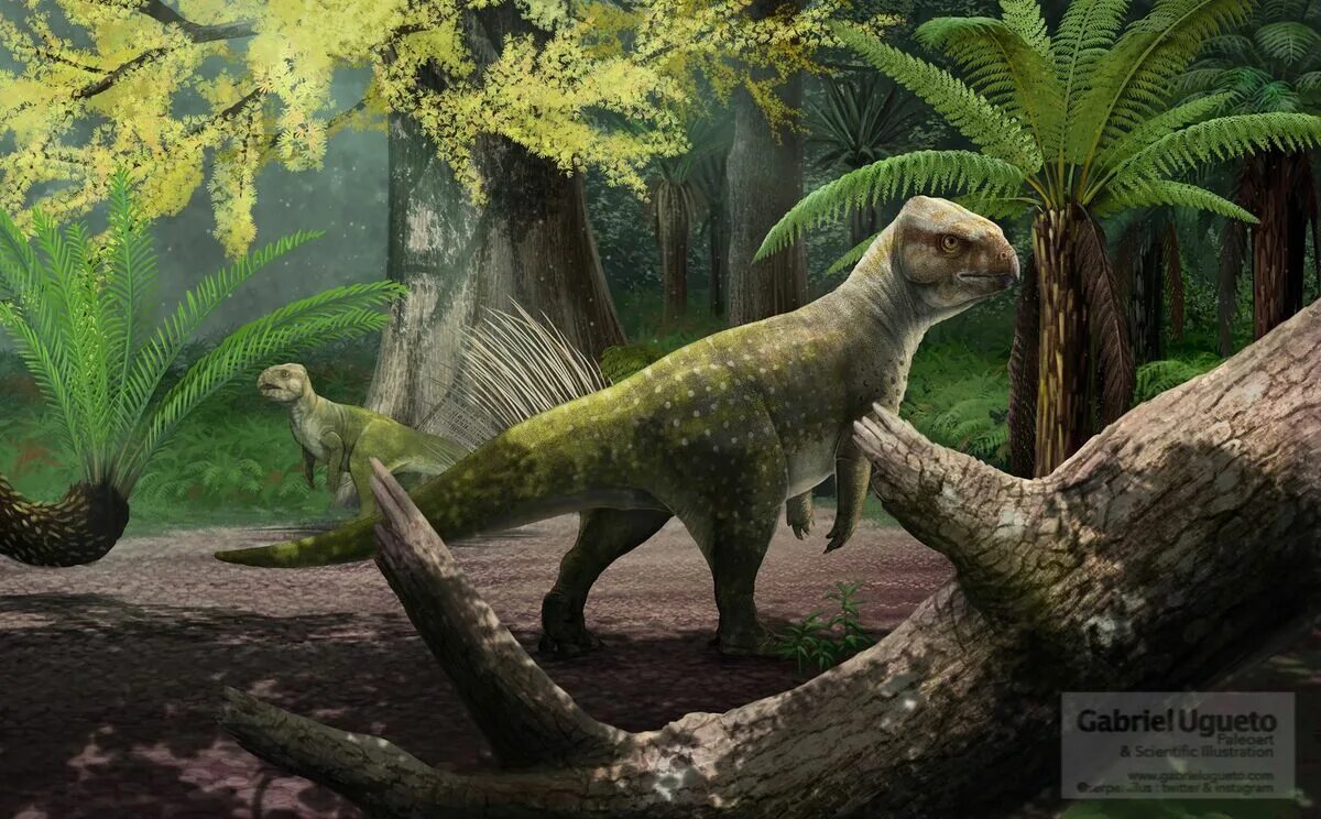 Эпоха динозавров года. Палеоарт парк Юрского периода. Chaoyangsaurus. Расцвет динозавров Эра. Юрский период Эра динозавров.