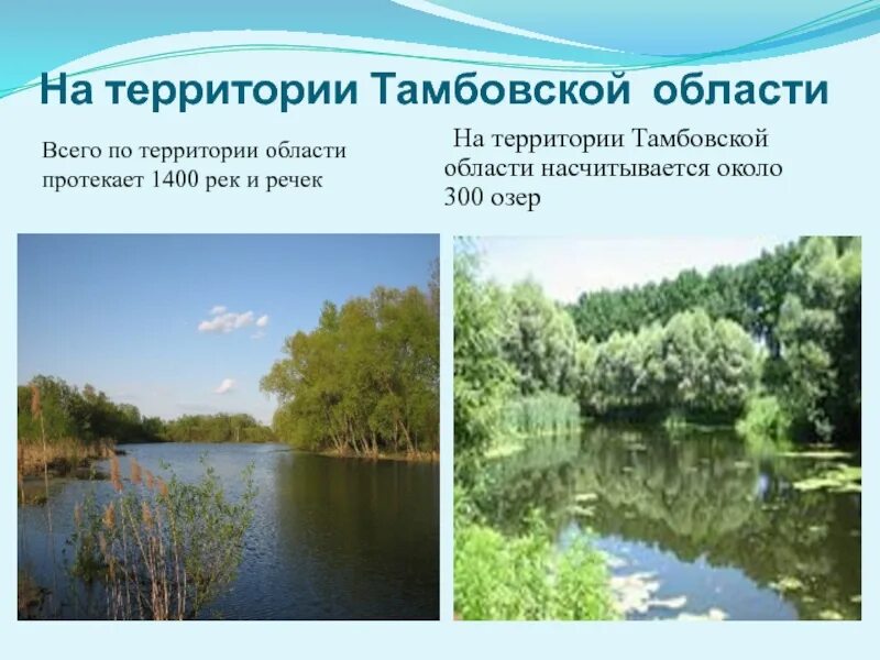 Река вяжля тамбовская область. Природа тамбовского края. Край тамбовский край родной. Природа тамбовского края. Край тамбовский край родной.