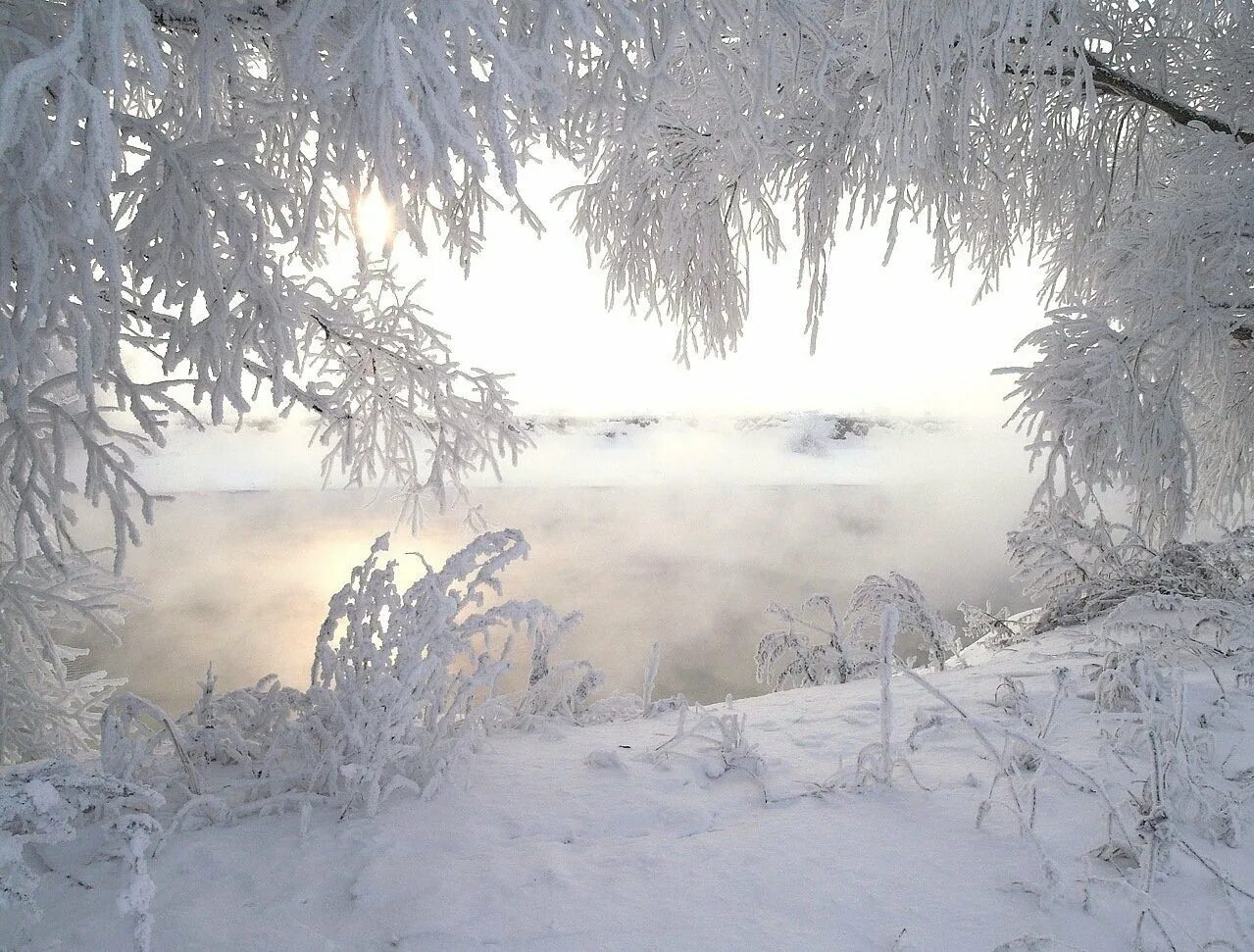 Морозная зима. Зима Пурга. Февральская метель. Февральский пейзаж. Белым белым заколдованный