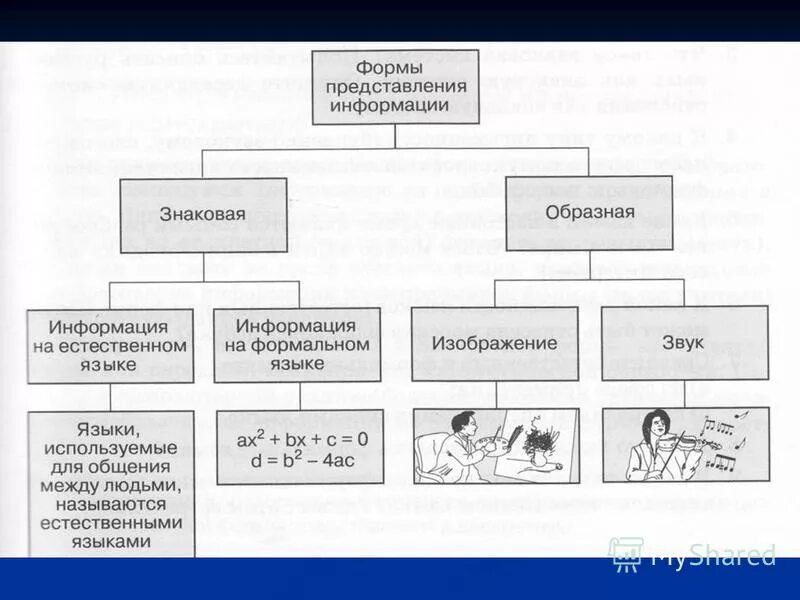 Процессы изменения формы представления информации