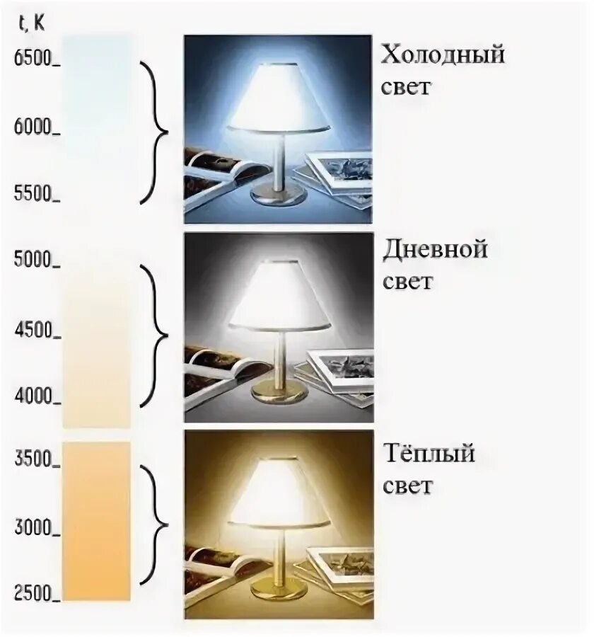 Включи дневной свет максимум. Теплый холодный дневной свет таблица светодиодных ламп. Тёплый и холодный свет светодиодных ламп отличия. Холодный белый свет и теплый белый свет разница. Лампа 6500 Кельвинов для растений спектр.