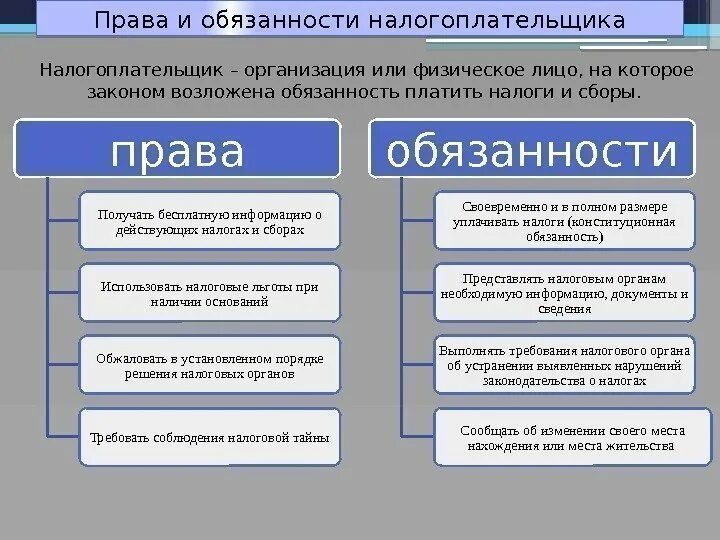 Уплата налогов относится к конституционным обязанностям. Каковы основные права и обязанности налогоплательщика. права и обязанности налогоплательщиков и налоговых органов. элементы статуса налогоплательщика права и обязанности. каковы права и обязанности налогоплательщика кратко.
