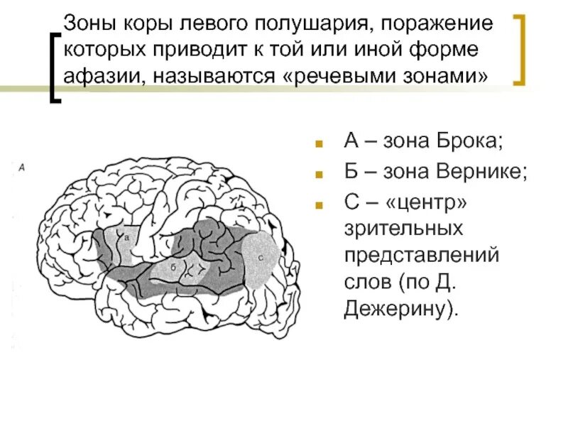 Центр вернике и центр (зона брока). Центр брока. Зона брока афазия. Критический возраст для развития зоны брока. Мозговые центры речи.
