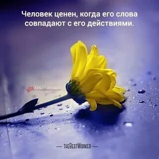 Ценные слова жизнь
