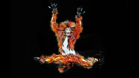 Уэббер кошки
