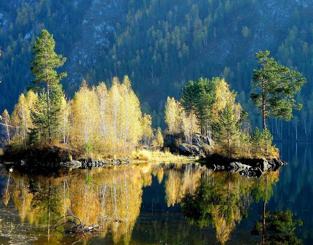 Тест природа сибири. Бодайбо Тайга Тайга. Природа Сибири. Пейзажи Сибири. Природа тайги.