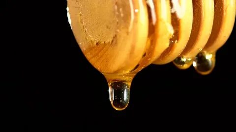 Honey видео