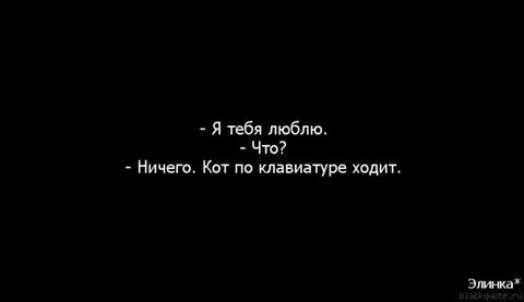 Люблю сразу двух