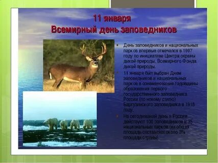 Национальные парки проект 7 класс