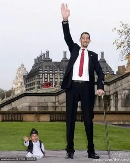 Рапунцель порно видео