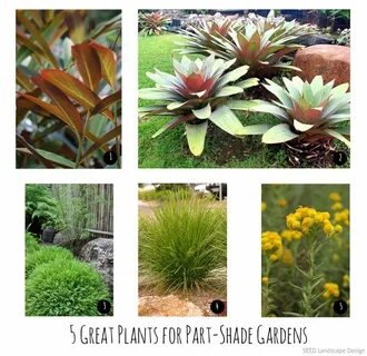 Plant selection