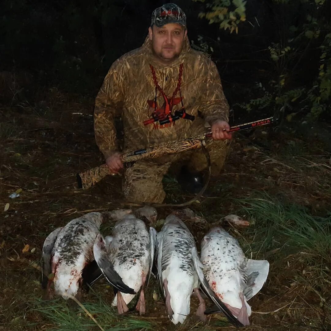 Мания охотничья команда. Охотничья команда maniateam. Охота на гуся. Hunting team mania. Сибирский странник.