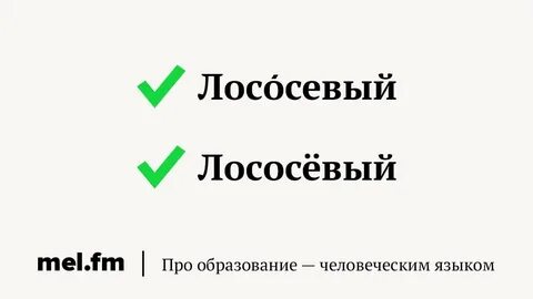 Белый бел бела бело ударение