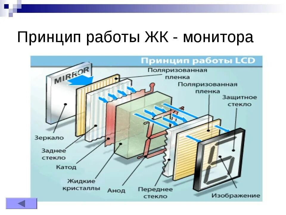 Принцип действия LCD мониторов. Схема сборки монитора. Принцип действия жидкокристаллического монитора. ЖК (LCD) - жидкокристаллические мониторы (Liquid Crystal display).. Экранные устройства