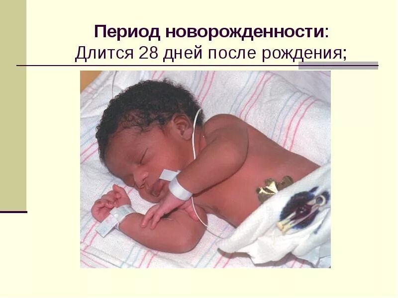 Первый период новорожденного. Период новорожденности. период новорожденности продолжается. период новорождённости длится. длительность периода новорожденности.