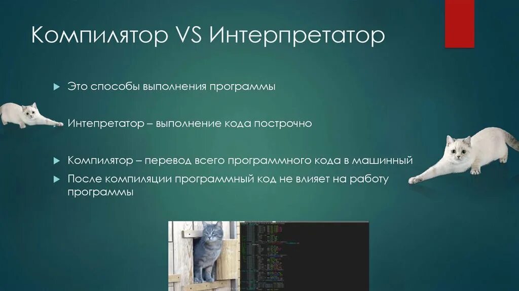 Трансляторы и интерпретаторы