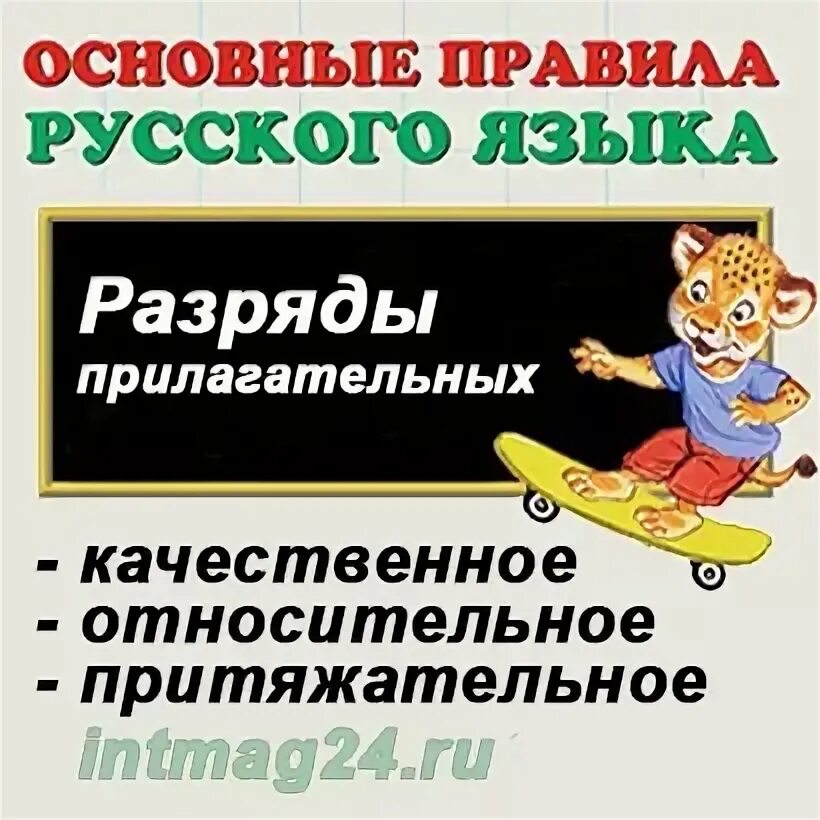Подземный качественное или относительное прилагательное. Подземный качественное или относительное прилагательное