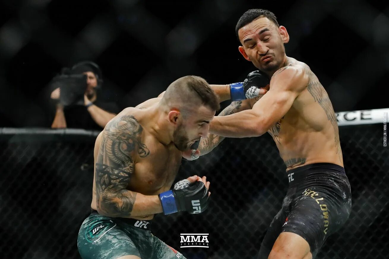 волкановски ufc. бой алекс волкановски и махачев. макс холлоуэй волкановски. Ufc 284 махачев волкановски. юфс махачев волкановски.