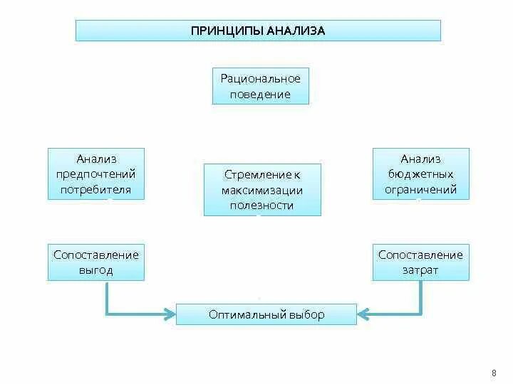 Рациональный потребитель принципы. Принципы потребительского поведения. Принципы рационального поведения потребителя. Схема потребительского поведения. Принцип рациональности поведения потребителя.