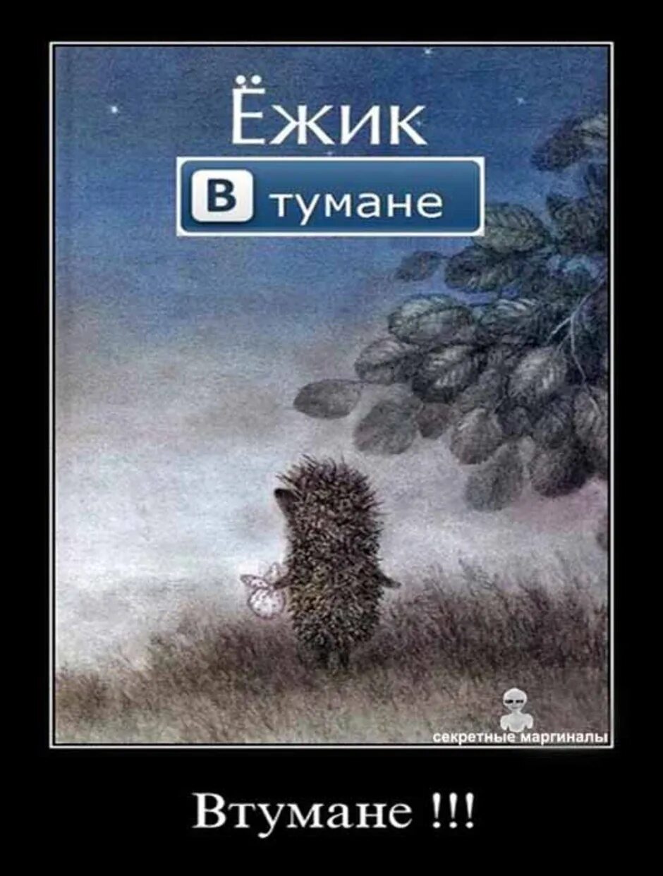 Смешной ежик в тумане. Ежик в тумане цитаты. Ежик в тумане иллюстрации. Демотиватор с ежиком в тумане. Норштейн ежик в тумане иллюстрации.