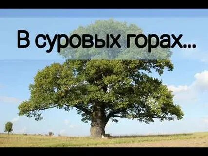 Суровые горы песня