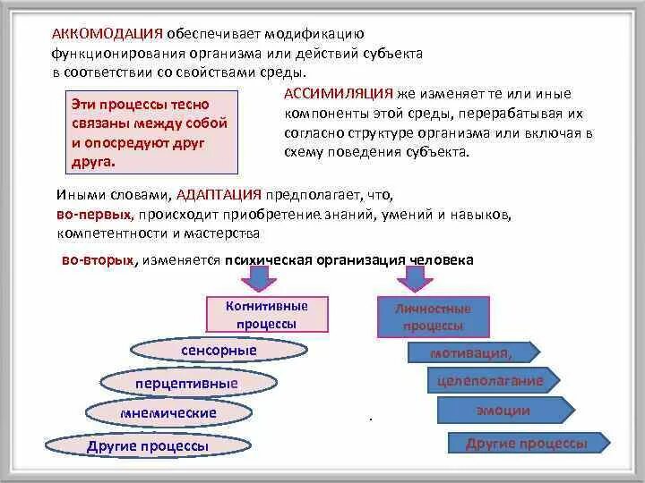 Аккомодация в психологии. Ассимиляция и аккомодация примеры. Пример ассимиляции в психологии. Аккомодация и ассимиляция Пиаже. Механизмы адаптации, ассимиляция и аккомодация;.