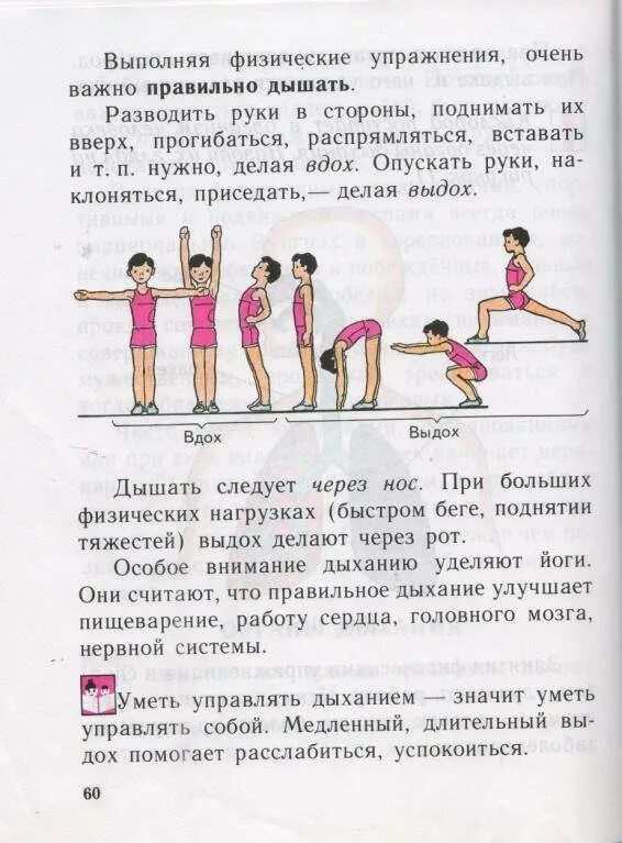 Страница 4 упражнения все. Как правильно дышать при физических упражнениях. правильное дыхание при выполнении упражнений. правильное дыхание при выполнении физических упражнений. как дышать при выполнении упражнений.